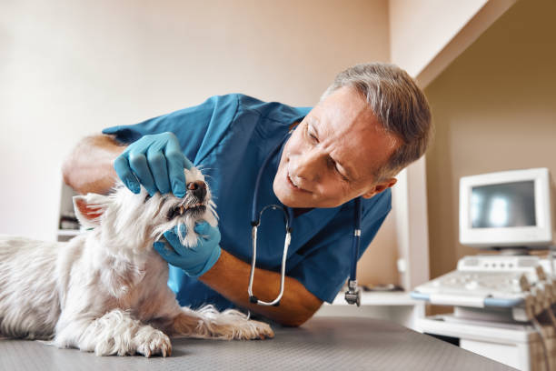 Best Emergency Treatment for Dental Infections or Abscesses in Beaver Dam, KY